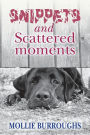 Snippets and Scattered moments