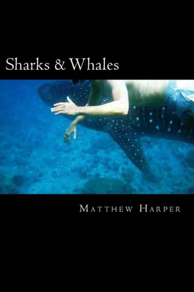 Sharks & Whales: A Fascinating Book Containing Shark & Whale Facts, Trivia, Images & Memory Recall Quiz: Suitable for Adults & Children