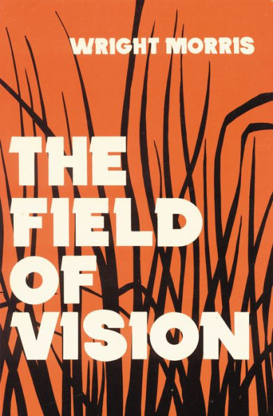 The Field of Vision (National Book Award Winner)