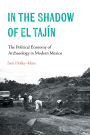 In the Shadow of El Tajín: The Political Economy of Archaeology in Modern Mexico