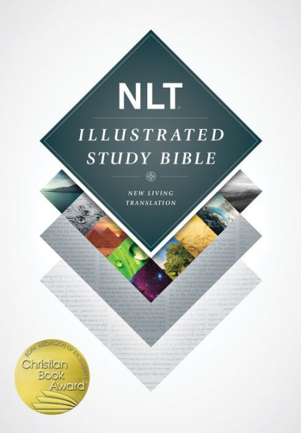 illustrator cs3 bible pdf free download