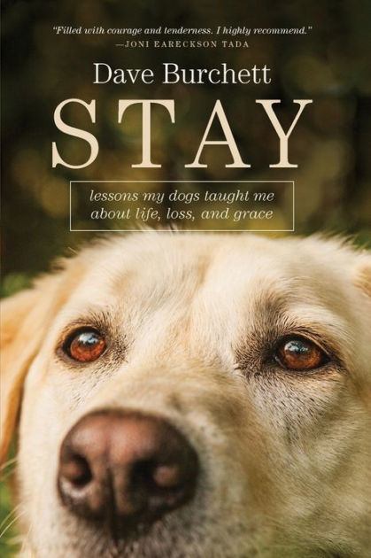 Really Important Stuff My Dog Has Taught Me [Book]