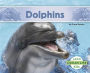 Dolphins