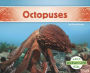 Octopuses