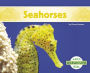 Seahorses