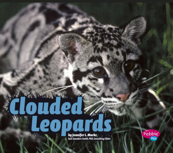 Clouded Leopards