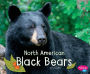 North American Black Bears