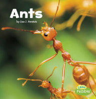 Title: Ants, Author: Lisa J. Amstutz