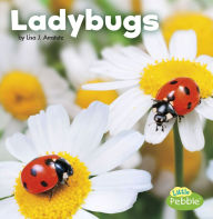 Title: Ladybugs, Author: Lisa J. Amstutz