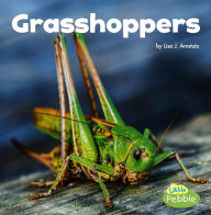 Title: Grasshoppers, Author: Lisa J. Amstutz