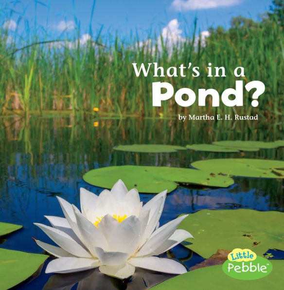 What's in a Pond?