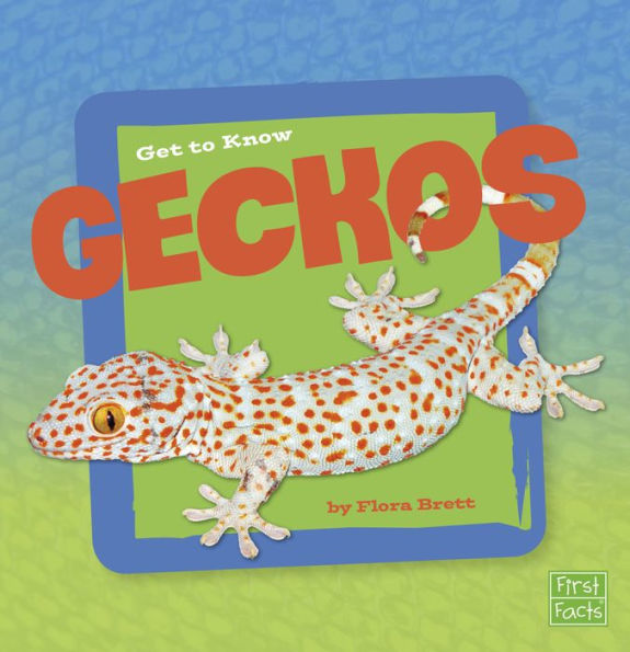 Get to Know Geckos