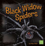 Black Widow Spiders