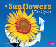 Title: A Sunflower's Life Cycle, Author: Mary R. Dunn
