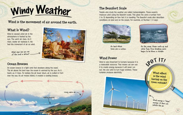 Weather