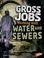 Gross Jobs Working with Water and Sewers: 4D An Augmented Reading Experience