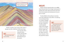 Alternative view 3 of Your Passport to Peru