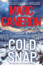 Cold Snap (Arliss Cutter Series #4)