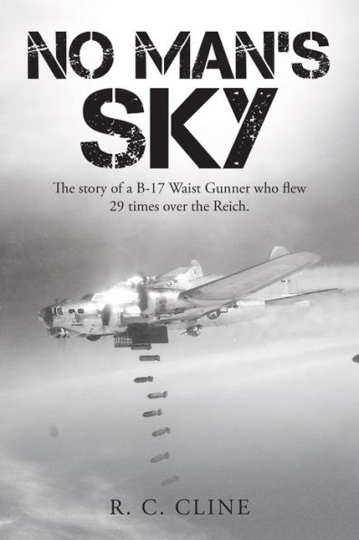 No Man's Sky: The Story of a B-17 Waist Gunner Who Flew Twenty-Nine Times over the Reich