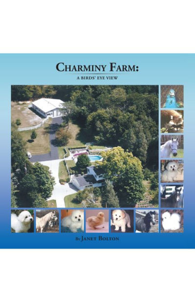 Charminy Farm:: A Birds' Eye View