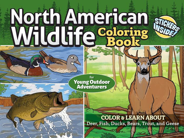 North American Wildlife Poster