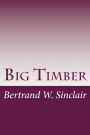 Big Timber