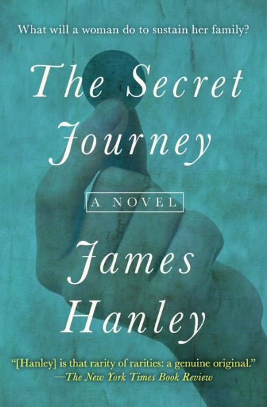 The Secret Journey: A Novel