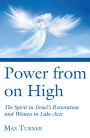 Power from on High: The Spirit in Israel's Restoration and Witness in Luke-Acts