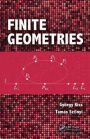 Finite Geometries / Edition 1