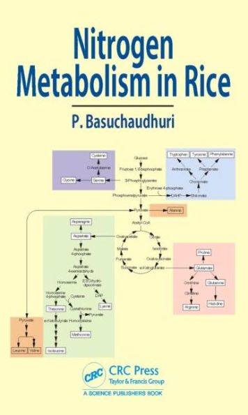 Nitrogen Metabolism in Rice / Edition 1