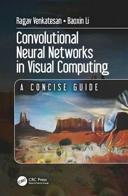 Convolutional Neural Networks in Visual Computing: A Concise Guide