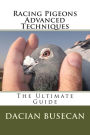 Racing Pigeons Advanced Techniques: The Ultimate Guide