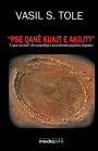 Pse qanë kuajt e Akilit?: E qara me bote