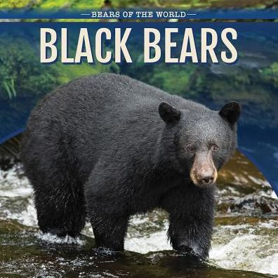 Black Bears