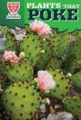 Plants That Poke