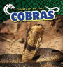 Cobras
