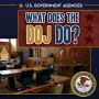 What Does the DOJ Do?