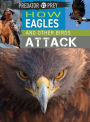How Eagles and Other Birds Attack