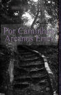 Por caminhos arcanos errei