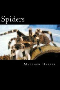 Title: Spiders: A Fascinating Book Containing Spider Facts, Trivia, Images & Memory Recall Quiz: Suitable for Adults & Children, Author: Matthew Harper