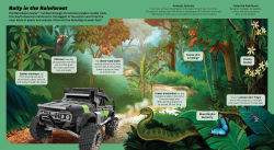 Alternative view 13 of Hot Wheels: Exploring the Wild Wilderness (A Mattel Hot Wheels Lift the Flap Novelty Board Book for Kids)