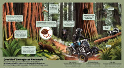 Alternative view 10 of Hot Wheels: Exploring the Wild Wilderness (A Mattel Hot Wheels Lift the Flap Novelty Board Book for Kids)