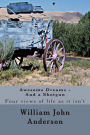 Awesome Dreams - And a Shotgun: Four views into life as it isn't