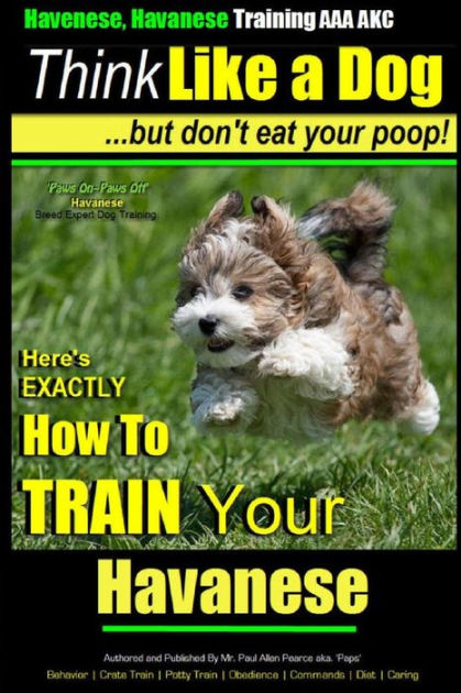 Havanese potty clearance training