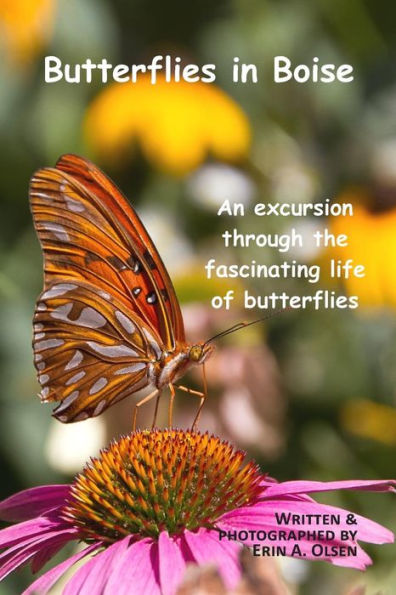 Butterflies in Boise: An excursion through the fascinating life of butterflies