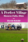 A Perfect Village(Monroe Falls, Ohio)