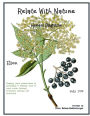 Relate With Nature Herbal Magazine: Elder Berries & Flowers