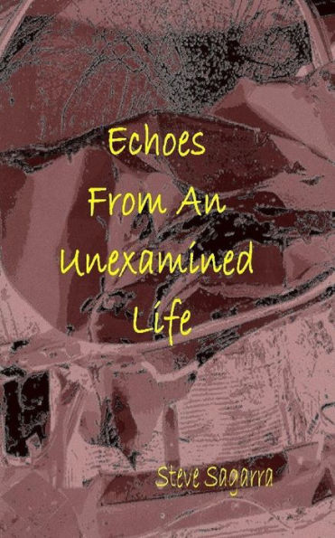 Echoes From An Unexamined Life