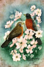 American Robins Journal