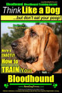 Bloodhound, Bloodhound Training AAA AKC: Think Like a Dog, but Don't Eat Your Poop! Bloodhound Breed Expert Training : Here's EXACTLY How to Train Your Bloodhound